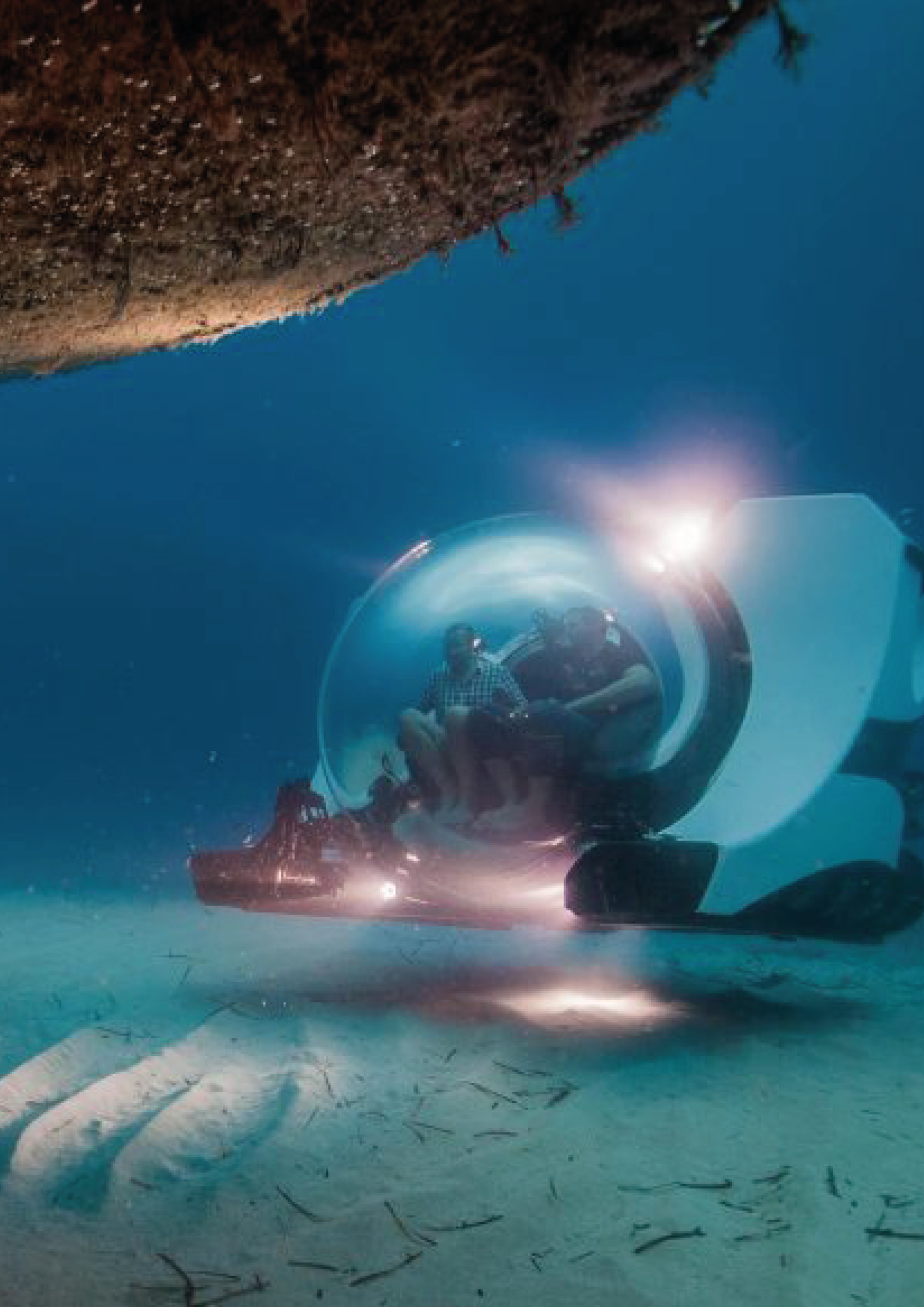 Sin título-1_Mesa de trabajo 1